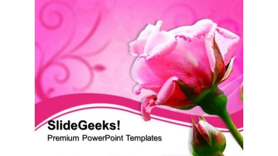 Pink Rose Beauty PowerPoint Templates And PowerPoint Themes 0612