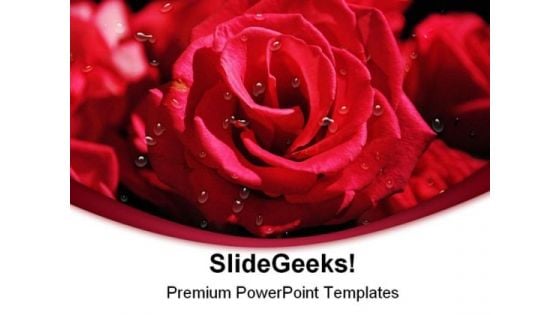 Pink Roses Beauty PowerPoint Templates And PowerPoint Backgrounds 0211