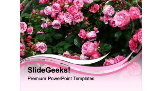 Pink Roses Garden PowerPoint Templates And PowerPoint Themes 0512