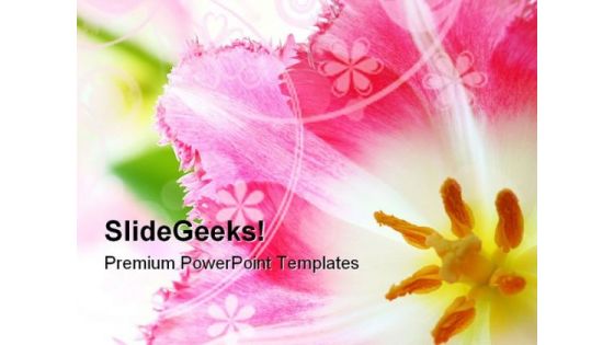 Pink Tulip Nature PowerPoint Templates And PowerPoint Backgrounds 0211