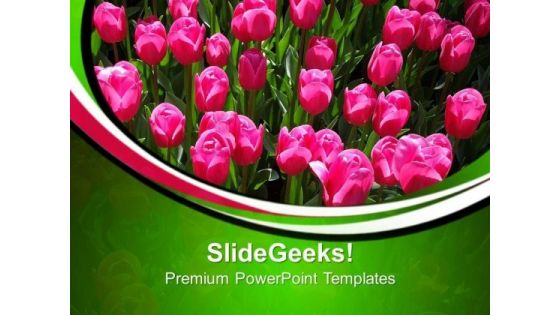 Pink Tulips In Garden Beauty PowerPoint Templates Ppt Backgrounds For Slides 0213