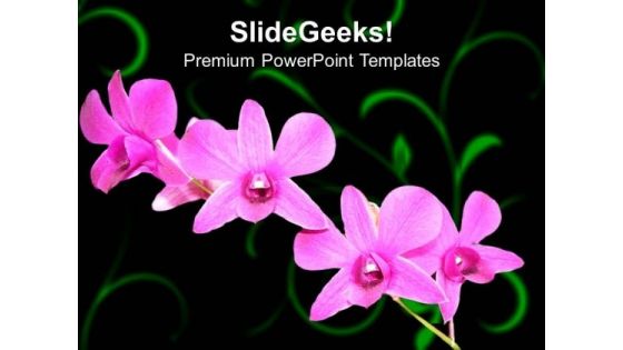 Pink Violet Flowers Nature PowerPoint Templates Ppt Backgrounds For Slides 0213