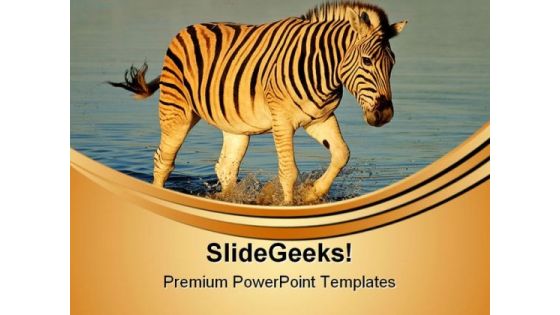 Plains Zebras Animals PowerPoint Templates And PowerPoint Backgrounds 0611