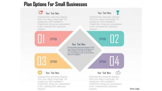 Plan Options For Small Businesses Presentation Template