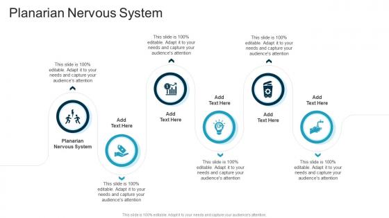 Planarian Nervous System In Powerpoint And Google Slides Cpb