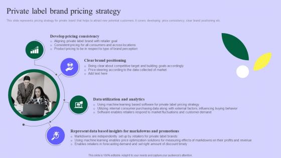 Planning Successful Private Product Private Label Brand Pricing Strategy Portrait Pdf