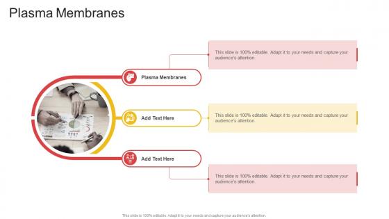 Plasma Membranes In Powerpoint And Google Slides Cpb