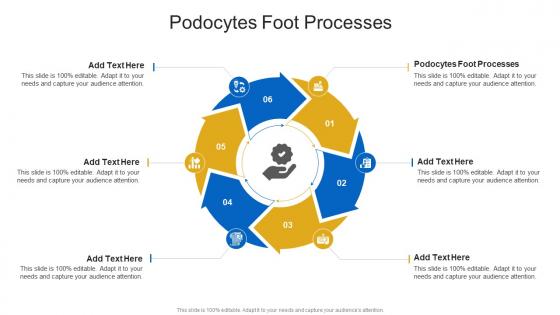 Podocytes Foot Processes In Powerpoint And Google Slides Cpb