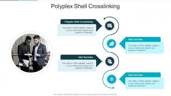 Polyplex Shell Crosslinking In Powerpoint And Google Slides Cpb