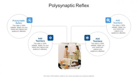 Polysynaptic Reflex In Powerpoint And Google Slides Cpb