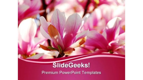 Pomegranate Flowers Nature PowerPoint Templates And PowerPoint Backgrounds 0211