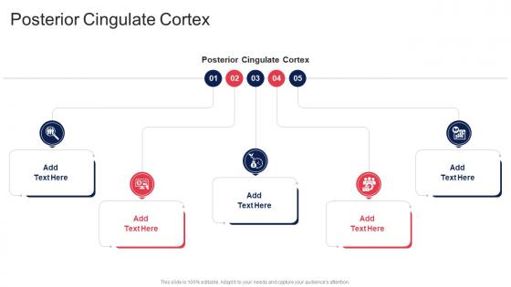 Posterior Cingulate Cortex In Powerpoint And Google Slides Cpb