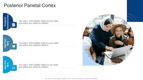 Posterior Parietal Cortex In Powerpoint And Google Slides Cpb