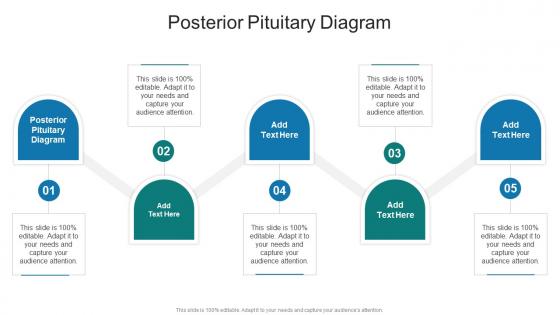 Posterior Pituitary Diagram In Powerpoint And Google Slides Cpb