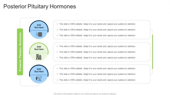 Posterior Pituitary Hormones In Powerpoint And Google Slides Cpb