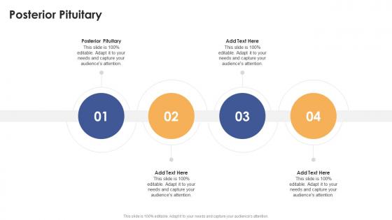 Posterior Pituitary In Powerpoint And Google Slides Cpb