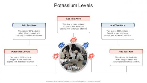 Potassium Levels In Powerpoint And Google Slides Cpb