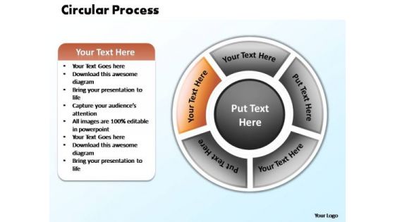 PowerPoint Design Business Circular Process Ppt Themes