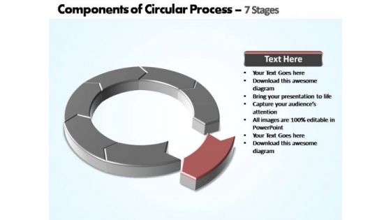 PowerPoint Design Diagram Components Of Circular Ppt Slide