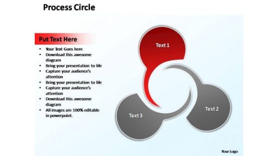 PowerPoint Design Leadership Circle Diagram Ppt Template