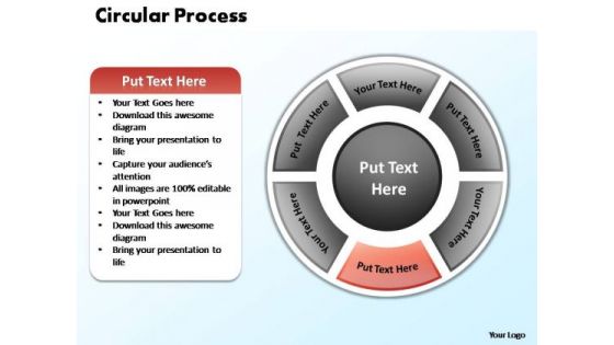 PowerPoint Design Leadership Circular Process Ppt Backgrounds