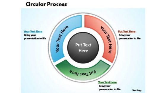 PowerPoint Design Leadership Circular Process Ppt Template