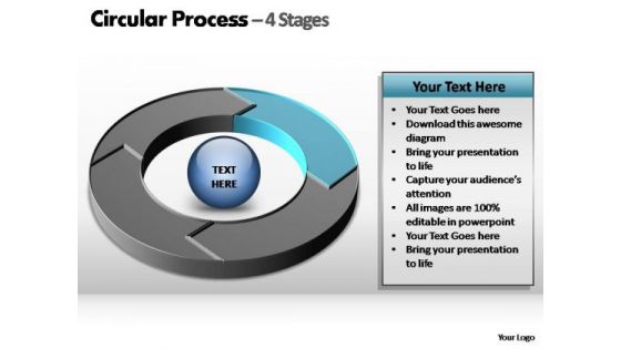 PowerPoint Design Slides Chart Circular Ppt Template