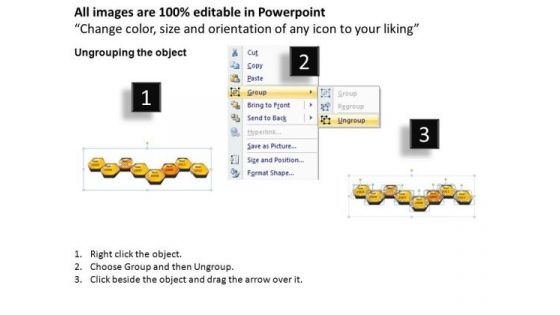 PowerPoint Design Slides Hexagonal Combs Leadership Ppt Themes