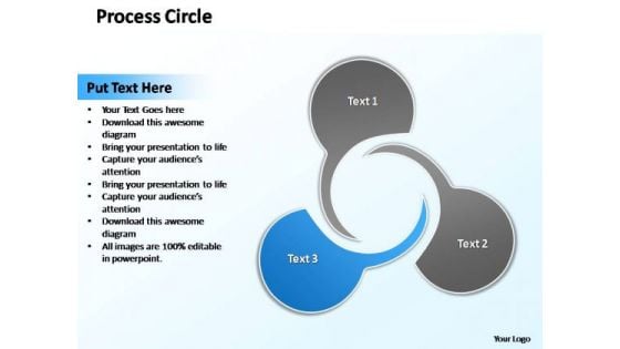 PowerPoint Design Teamwork Circle Diagram Ppt Theme