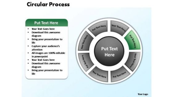 PowerPoint Designs Business Circular Process Ppt Slides