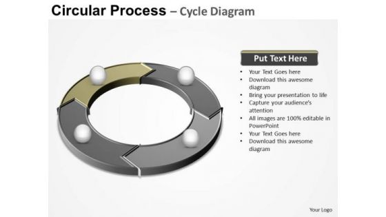 PowerPoint Designs Business Circular Process Ppt Themes