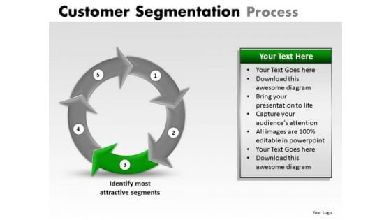 PowerPoint Designs Business Success Customer Segmentation Process Ppt Presentation Designs