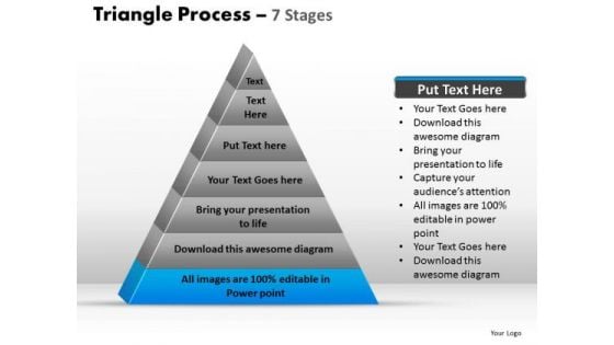 PowerPoint Designs Leadership Triangle Process Ppt Presentation Designs