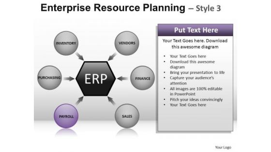 PowerPoint Layout Corporate Designs Enterprise Resource Planning Ppt Theme