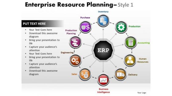 PowerPoint Presentation Diagram Enterprise Resource Ppt Themes