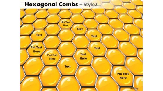 PowerPoint Presentation Executive Success Hexagonal Combs Ppt Theme