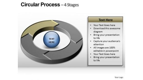 PowerPoint Presentation Graphic Circular Ppt Slide Layout