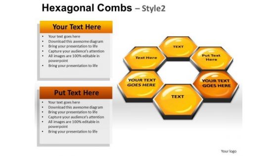 PowerPoint Presentation Hexagonal Combs Leadership Ppt Layouts