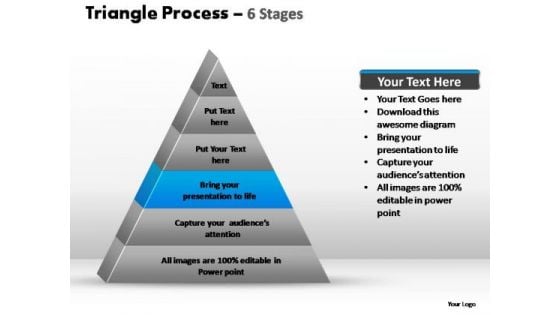 PowerPoint Presentation Leadership Triangle Process Ppt Design