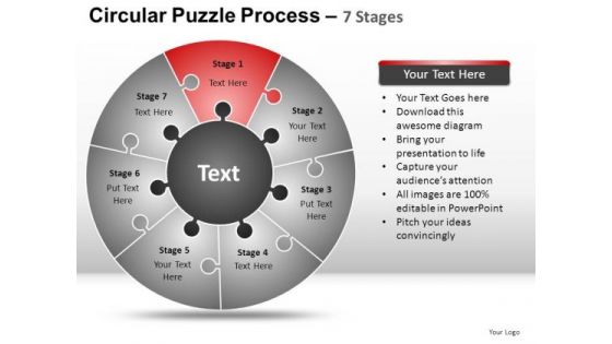 PowerPoint Presentation Success Circular Puzzle Ppt Process