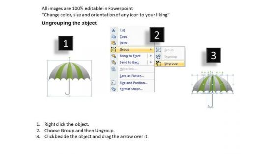 PowerPoint Process Company Umbrella Chart Ppt Layouts