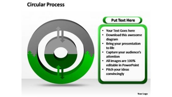 PowerPoint Slide Designs Leadership Circular Ppt Slides