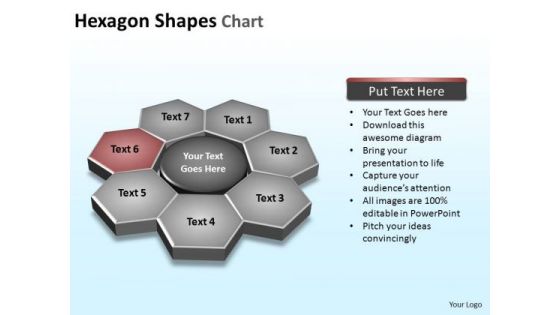 PowerPoint Slide Designs Leadership Hexagon Shapes Ppt Template