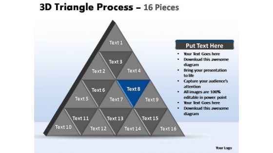 PowerPoint Slide Designs Leadership Triangle Process Ppt Design Slides