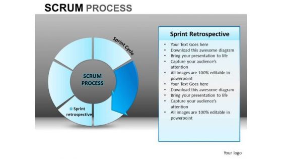 PowerPoint Slide Executive Leadership Scrum Process Ppt Presentation Designs