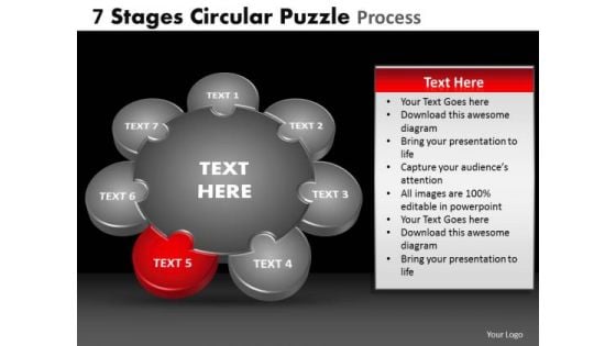 PowerPoint Slide Image Circular Puzzle Ppt Process