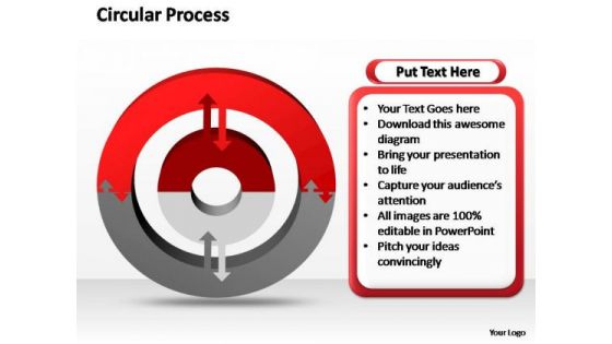 PowerPoint Slide Layout Process Circular Ppt Slides