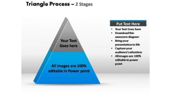 PowerPoint Slide Marketing Triangle Process Ppt Slide