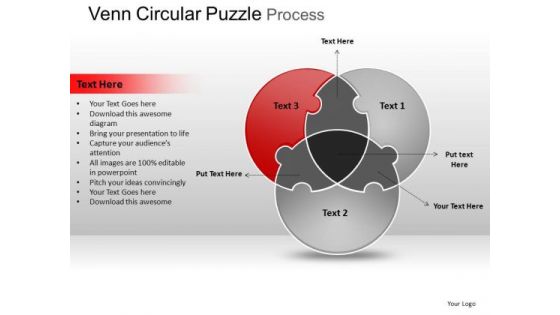 PowerPoint Slide Teamwork Circular Puzzle Ppt Process