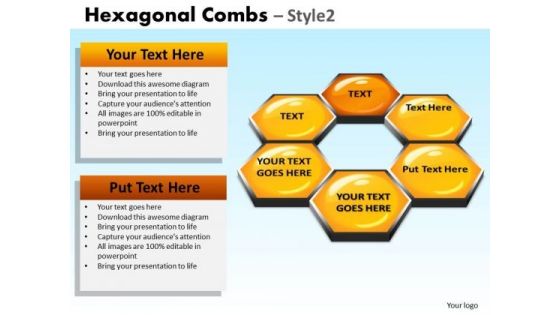 PowerPoint Slidelayout Executive Success Hexagonal Combs Ppt Theme